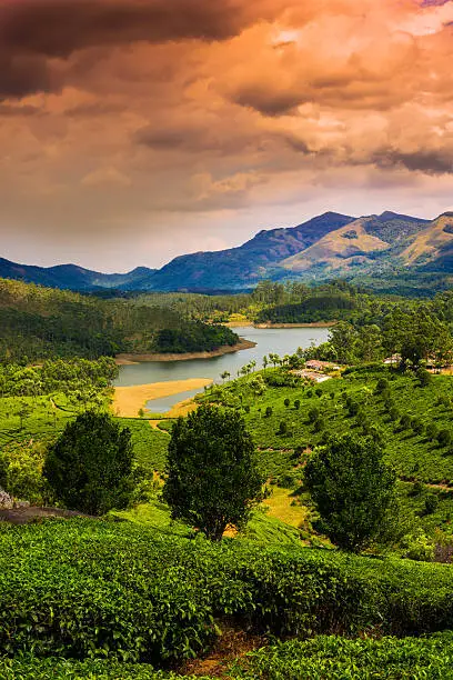 Kerala Beach
