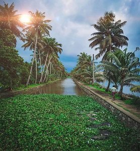 Kerala Backwaters