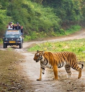 Jim Corbett